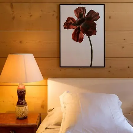 Chalet 17th Century - Mountain Vibe Villa
